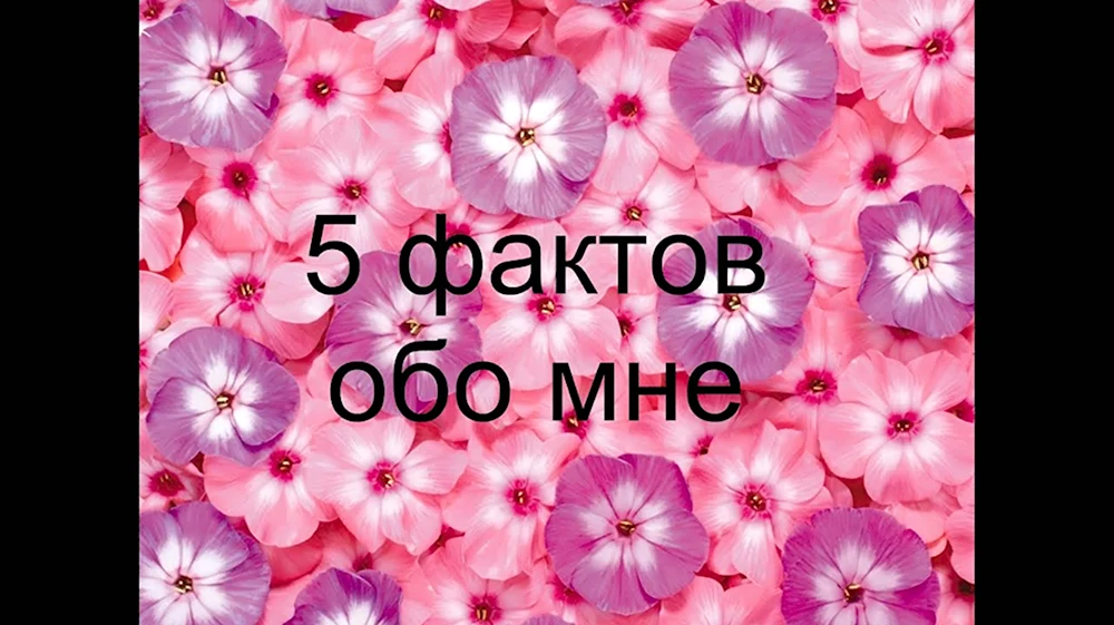 5 Фактов обо мне