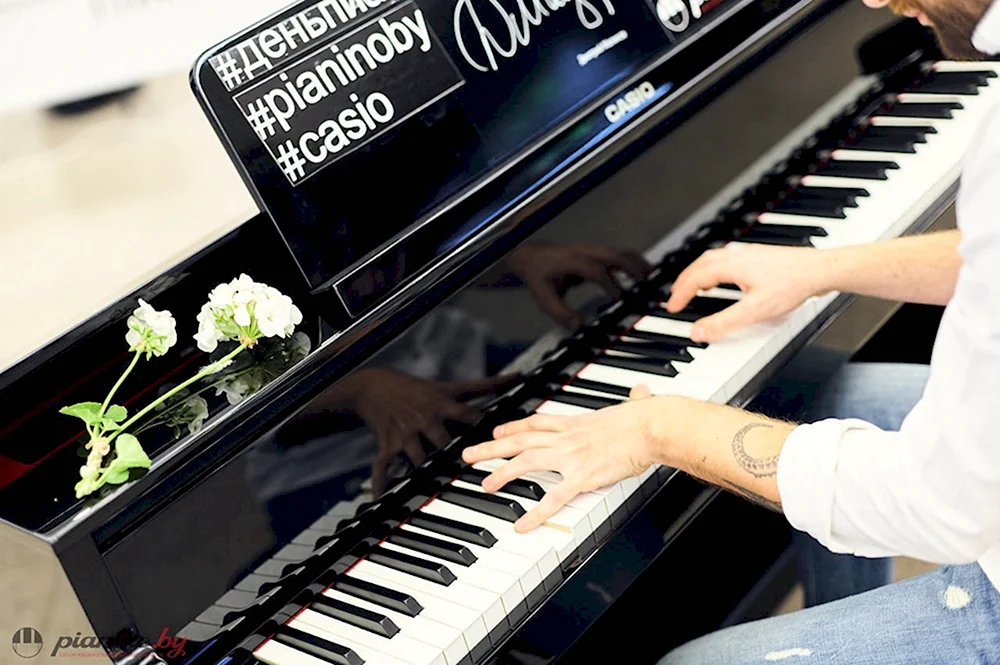 8 Ноября Всемирный день пианиста