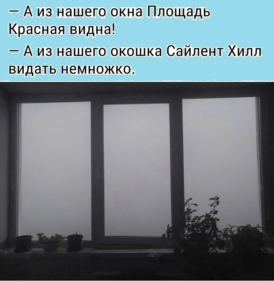 А из нашего окна. А из нашего окошка. А из нашего окна площадь. А из вашего окна?.