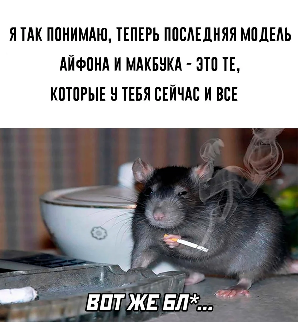 А вас тоже бесит