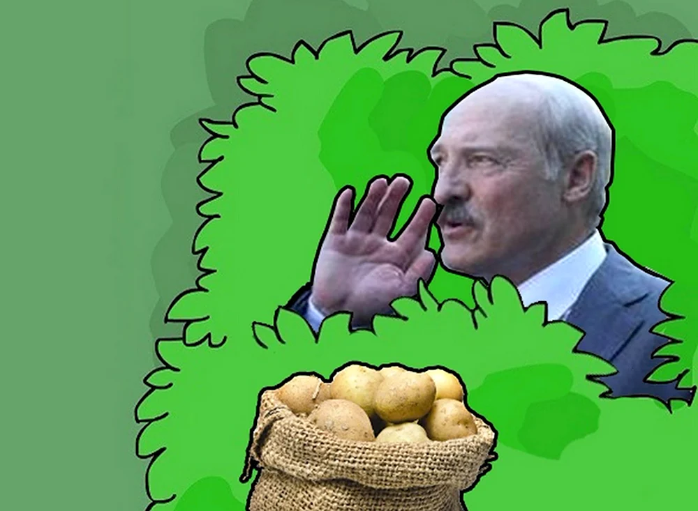 Батька Лукашенко и картошка