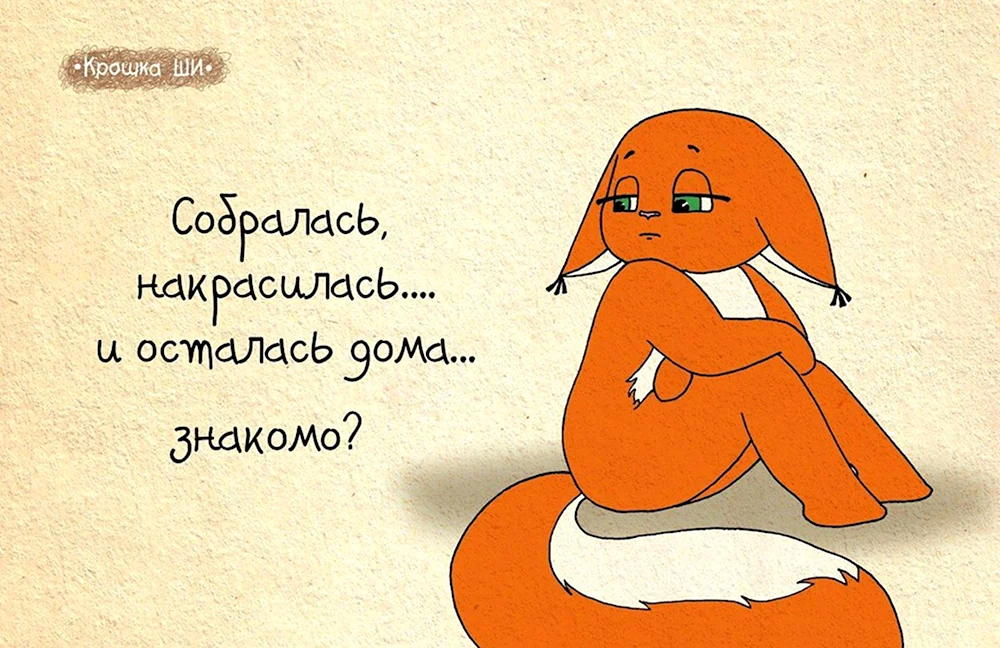 Белка ши