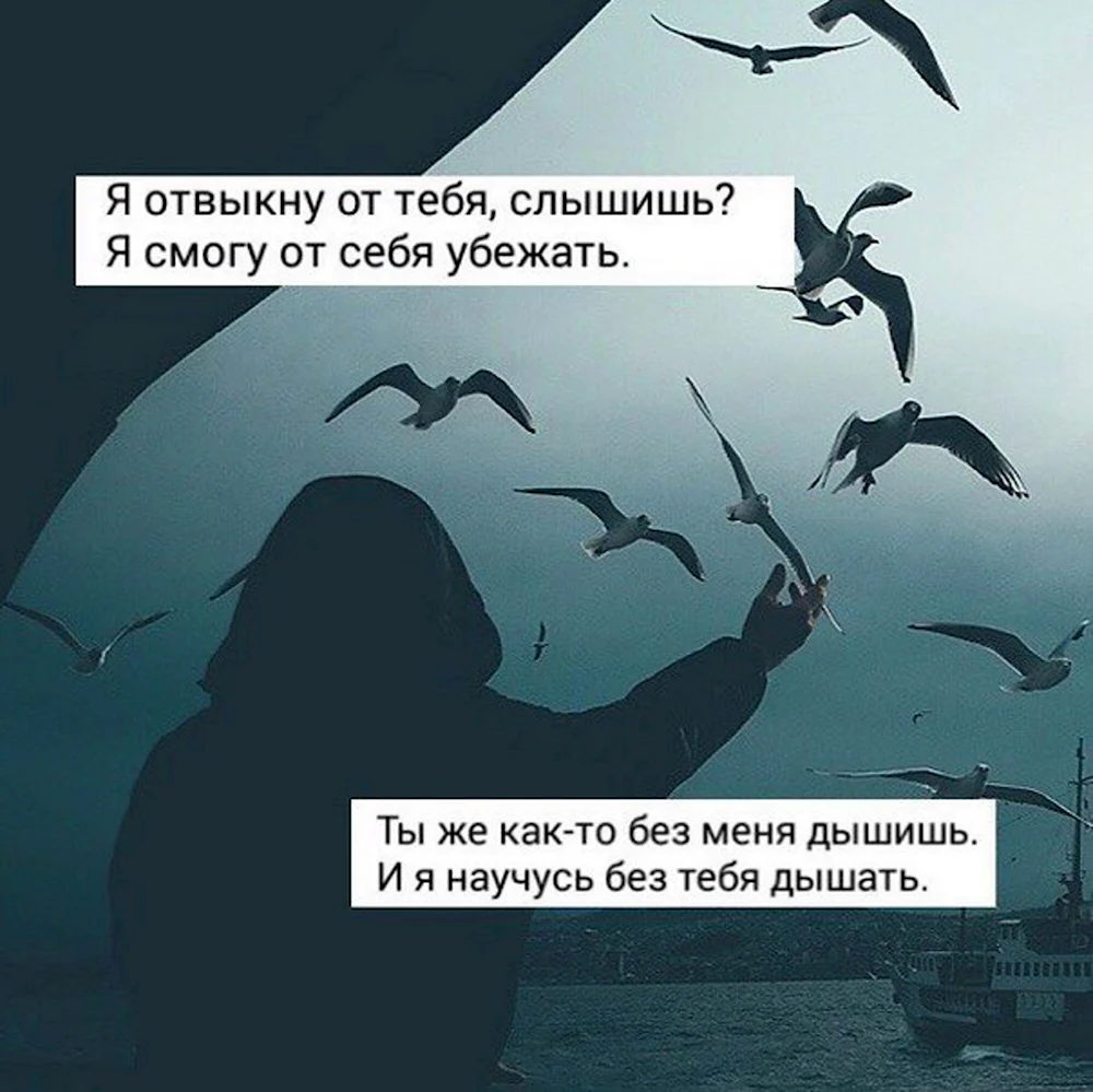 Без меня цитаты