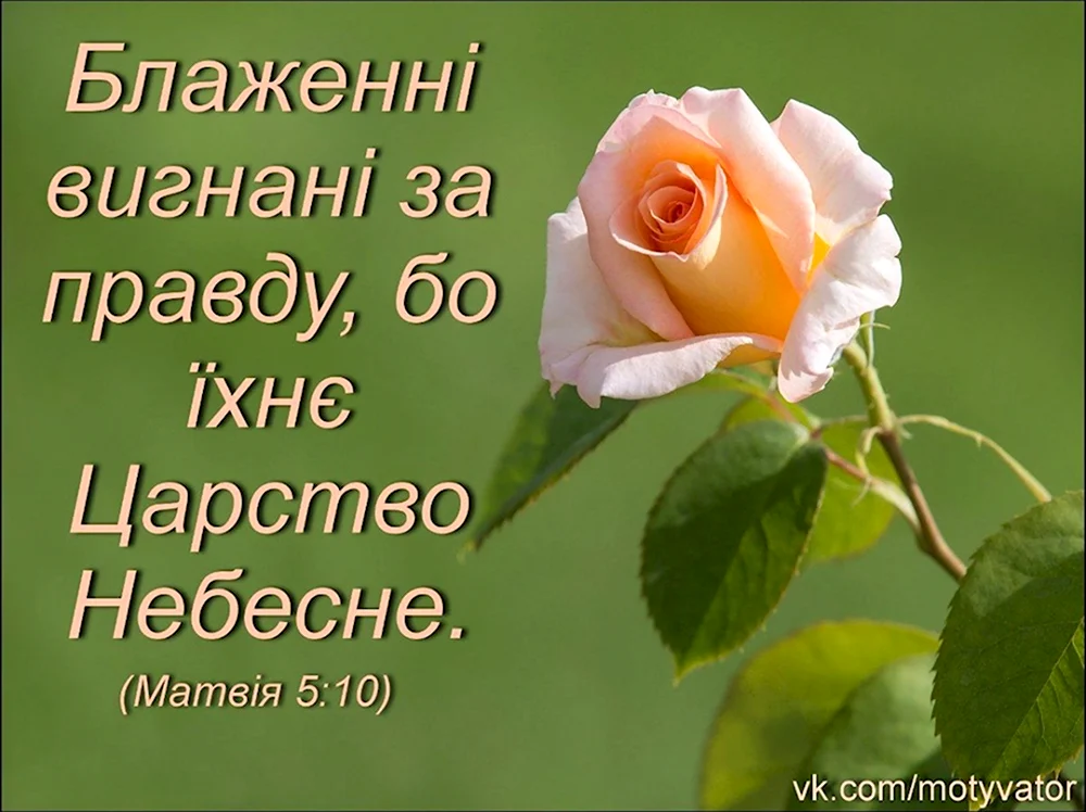 Благословение цветы