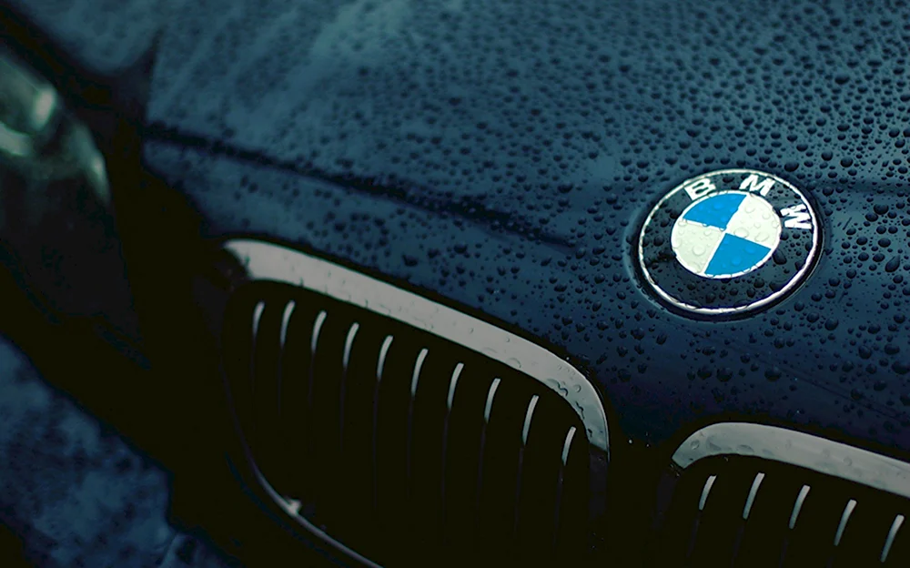 BMW logo 2000