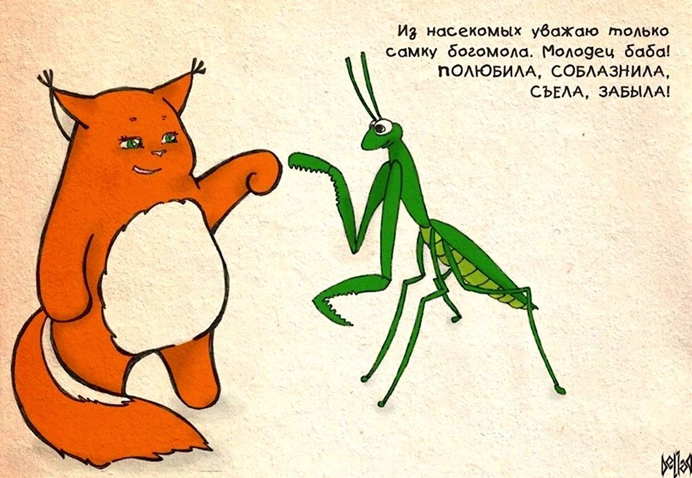 Богомол юмор