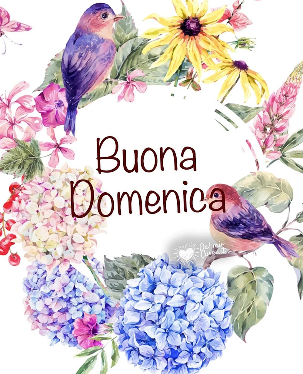 Buona domenica картинки