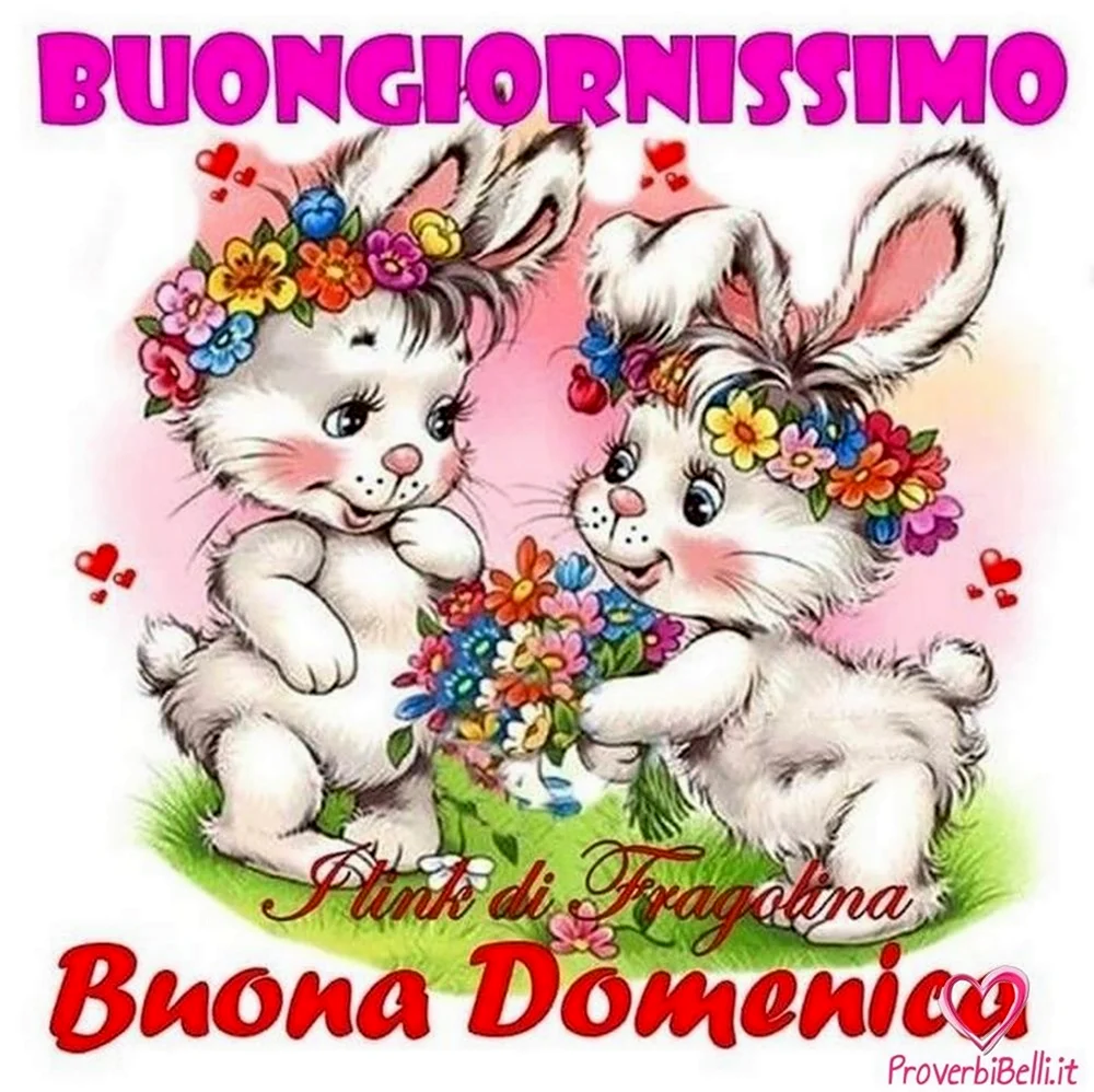 Buona domenica картинки весёлые