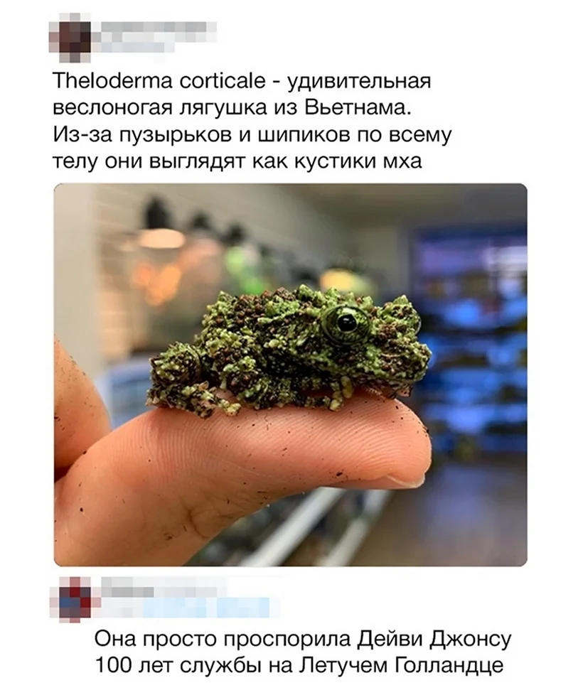 Часть команды часть корабля Мем