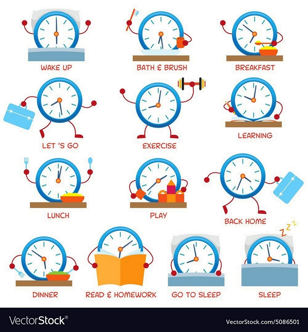 Часы и распорядок дня на английском