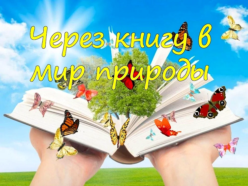 Через книгу в мир природы