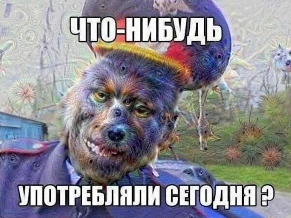 Нихуя тормози