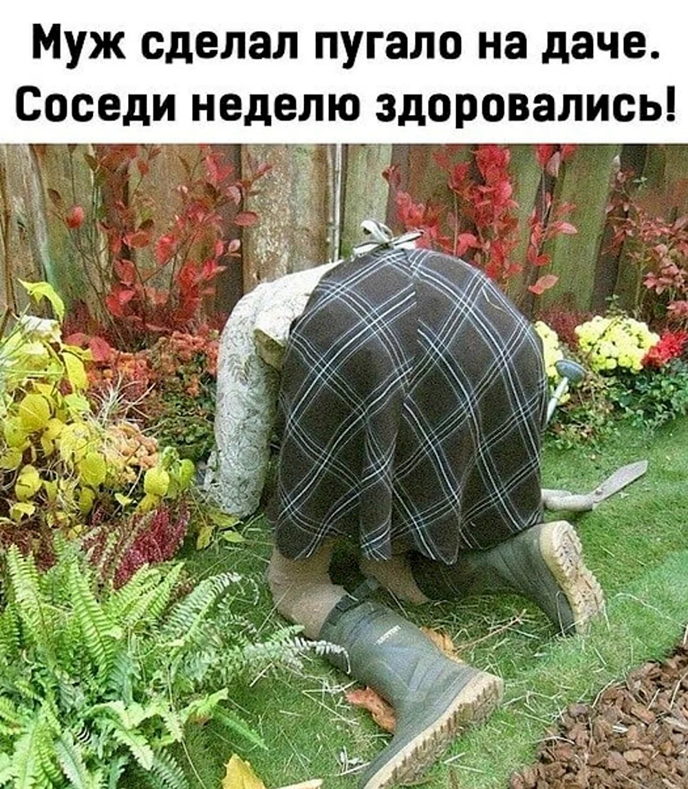 Чучело на дачу