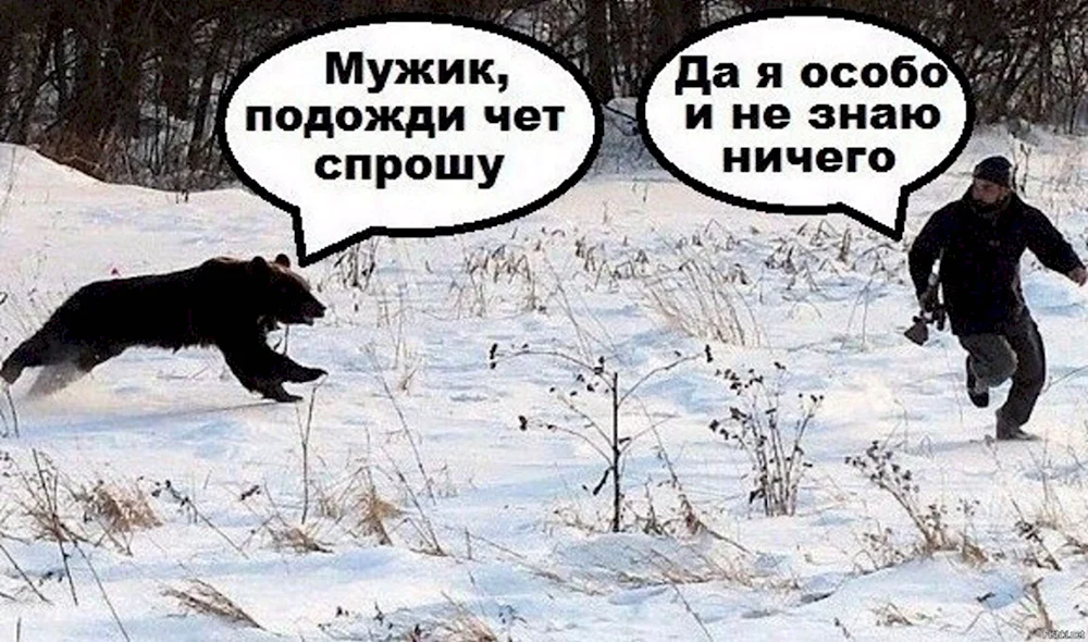 Да я особо и не знаю ниче