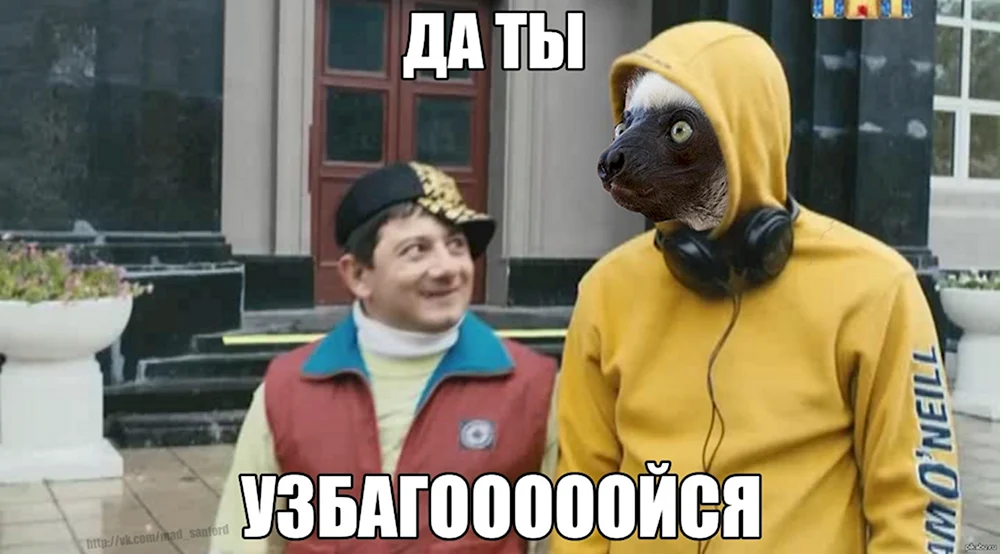 Да ты успокойся наша раша