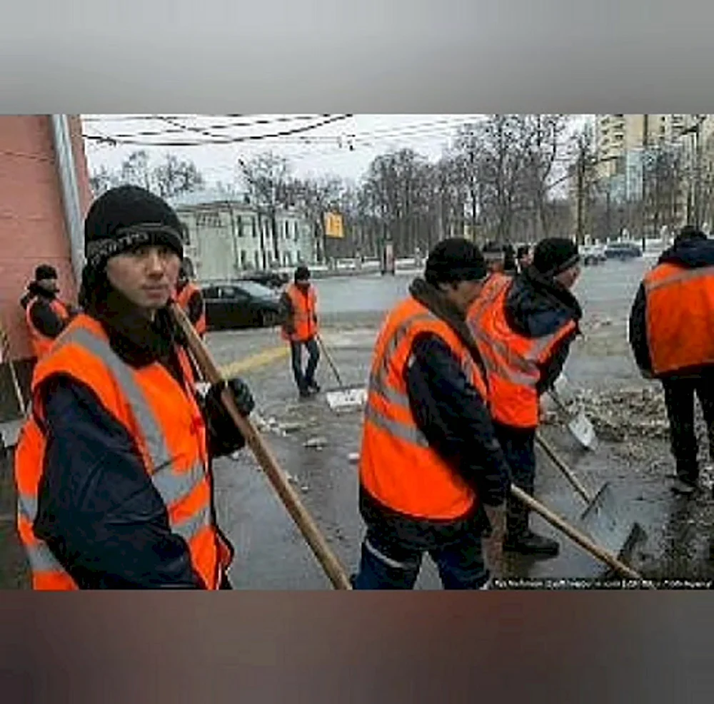 Демотиваторы про гастарбайтеров