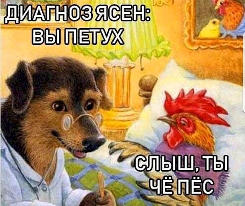 Диагноз ясен вы пес