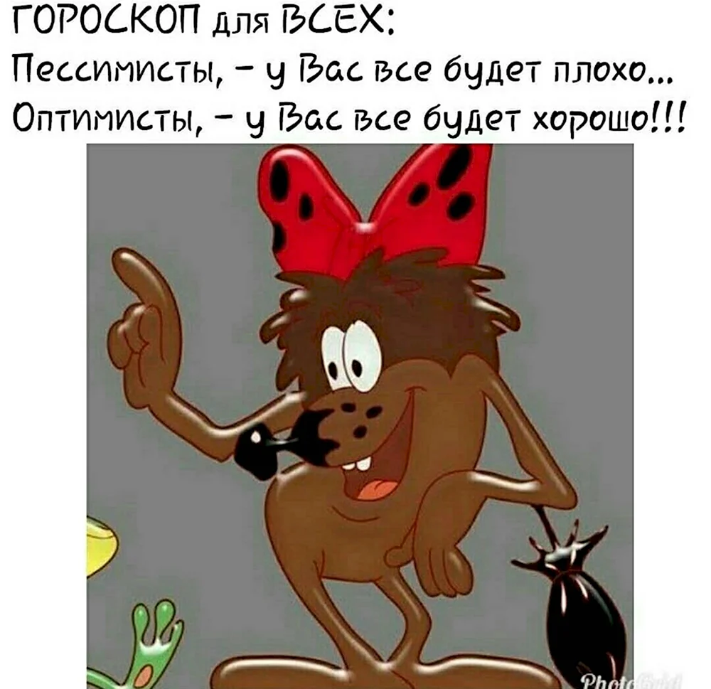 Дюка Дюдюка