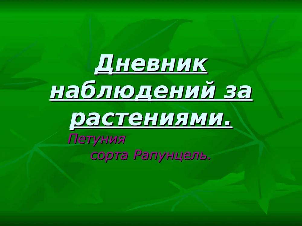 Дневник наблюдений за растениями