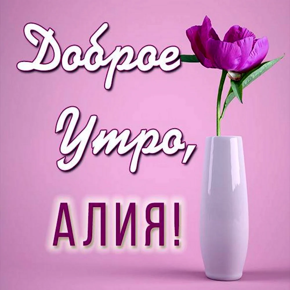 Доброе утро Алиса