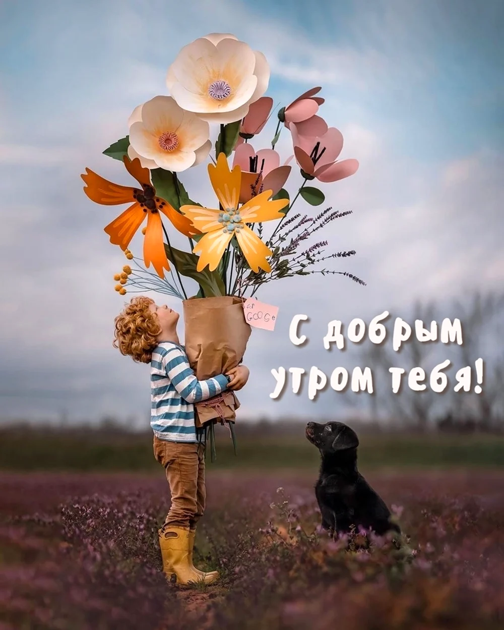 Доброе утро позитивные необычные