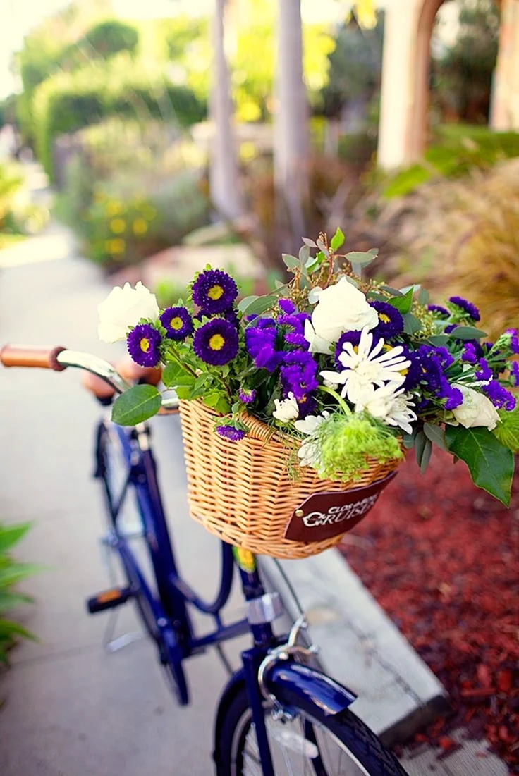 Доброе утро велосипед с цветами