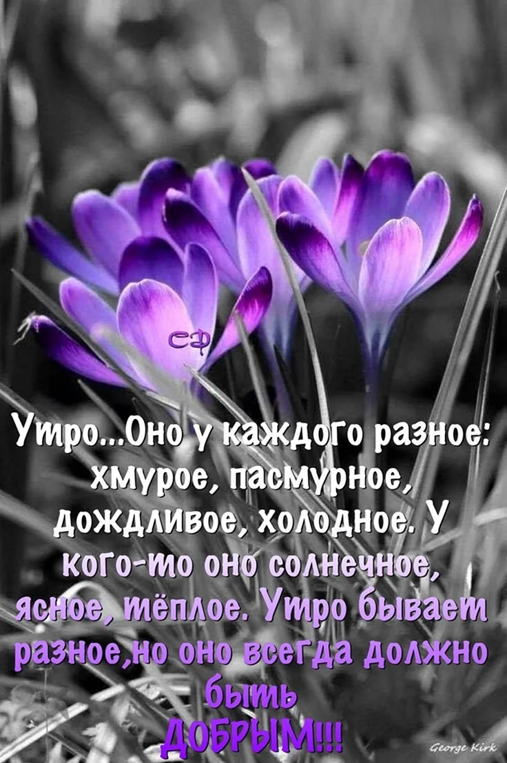 Добрые пожелания и высказывания