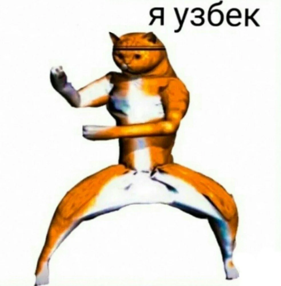 Добрый день я узбек кот