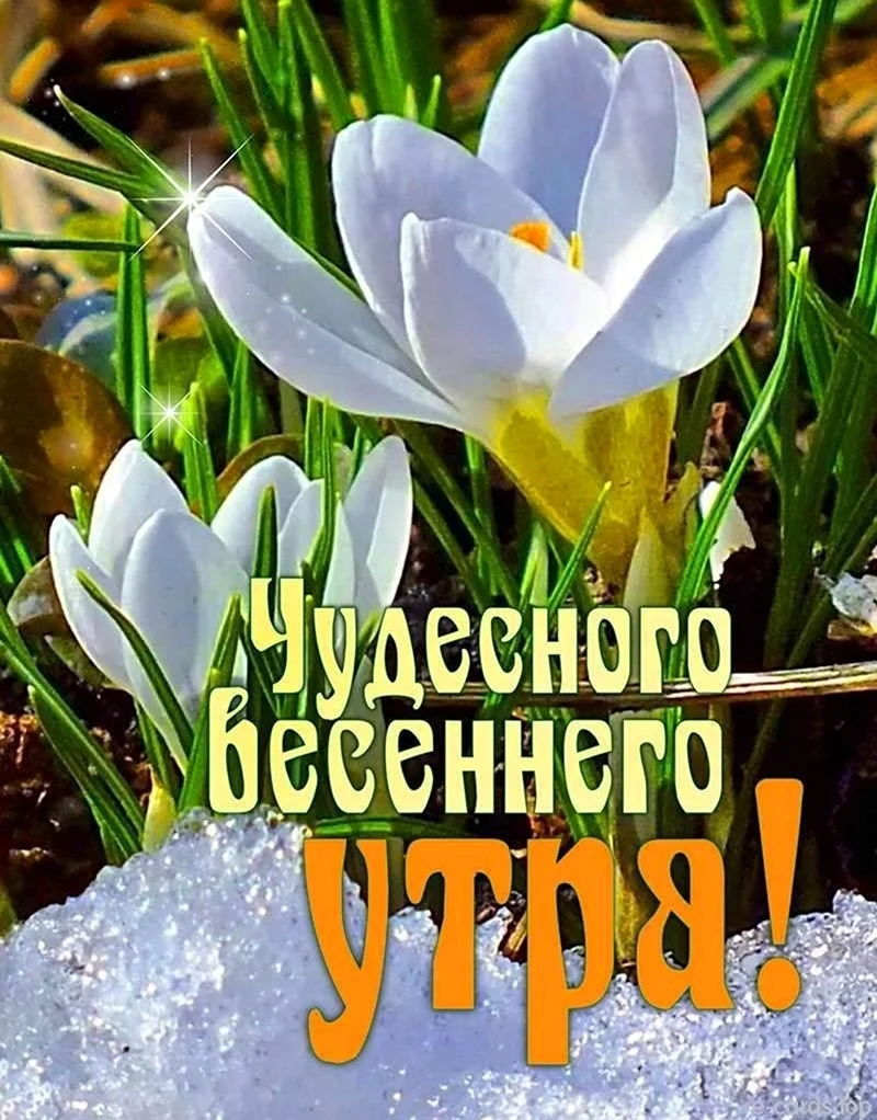 Добрый день картинки