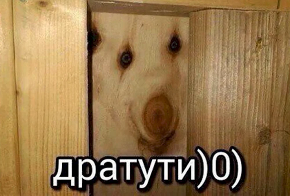 Дратути