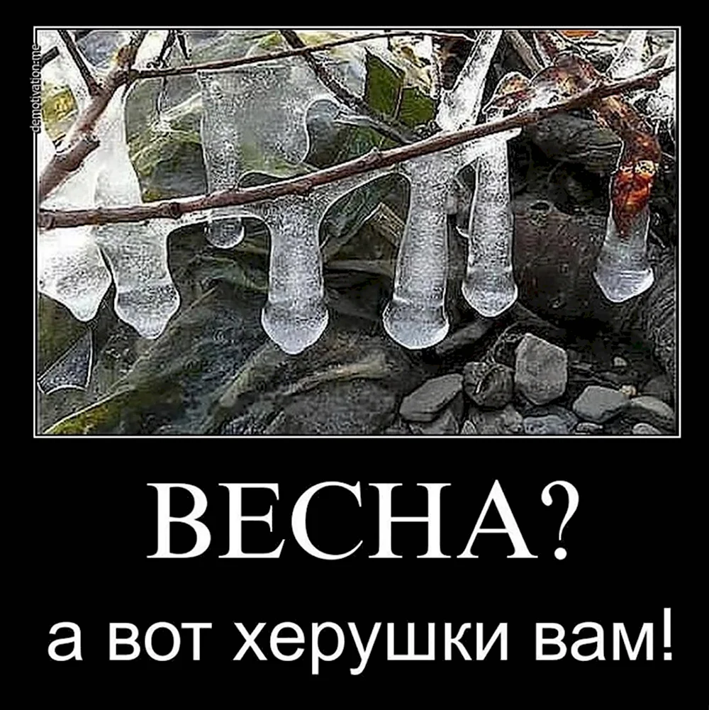 Думали Весна херушки