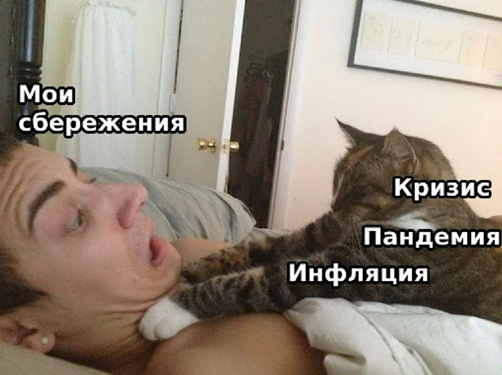 Душит кота