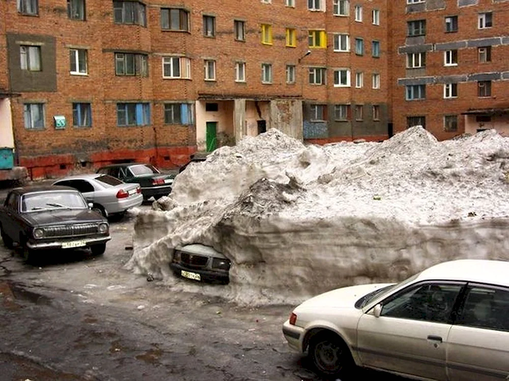 Дворник демотиватор