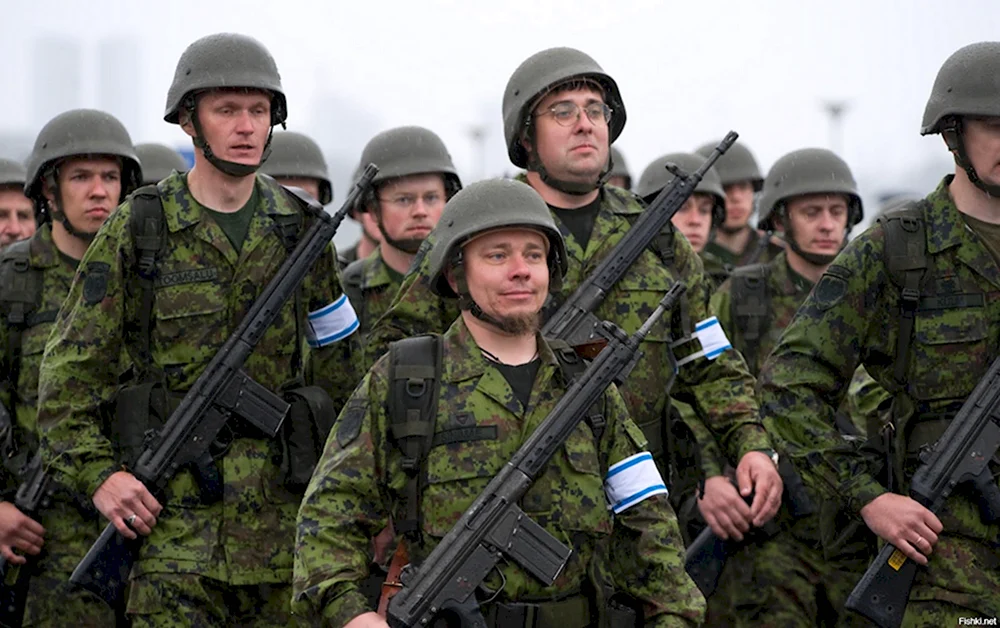 Эстонская армия