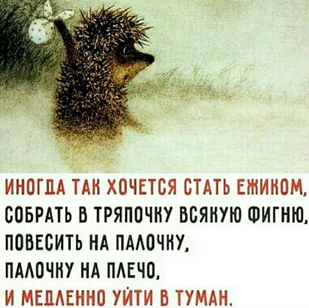 Ежик в тумане