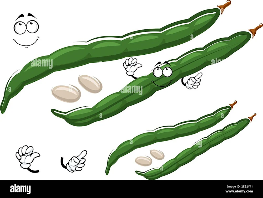Фасоль рисунок для детей