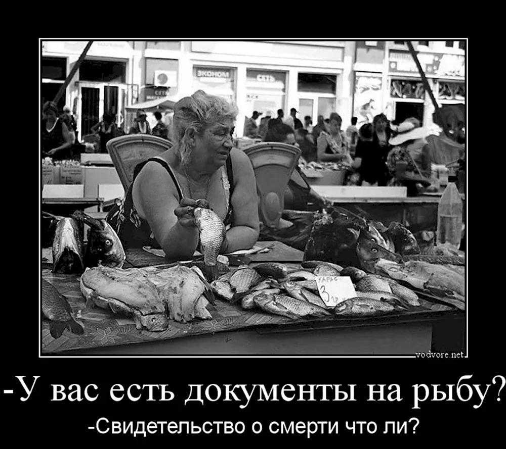 Фотоприколы и демотиваторы