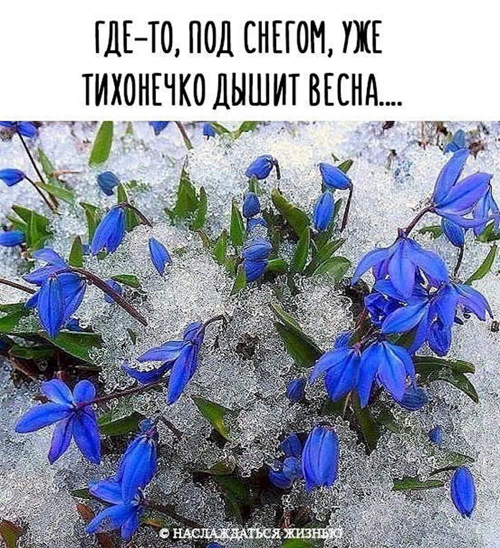 Где-то под снегом Весна