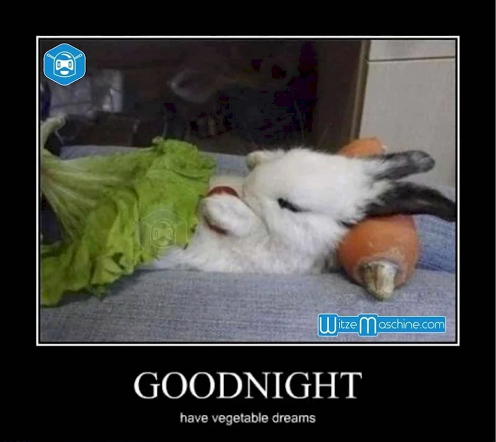 Good Night приколы