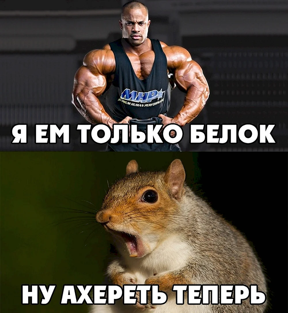 Я ем только белок