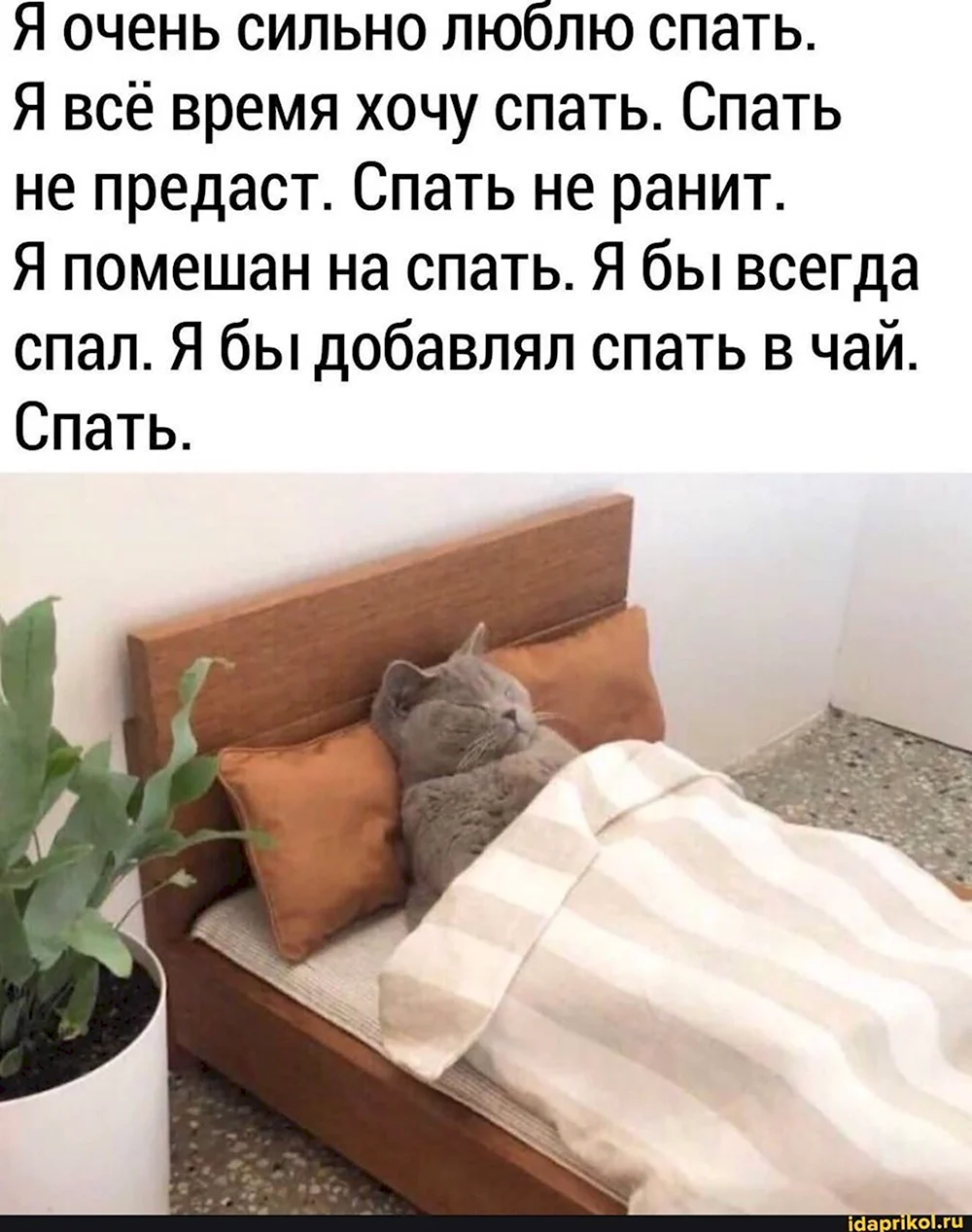 Я люблю спать