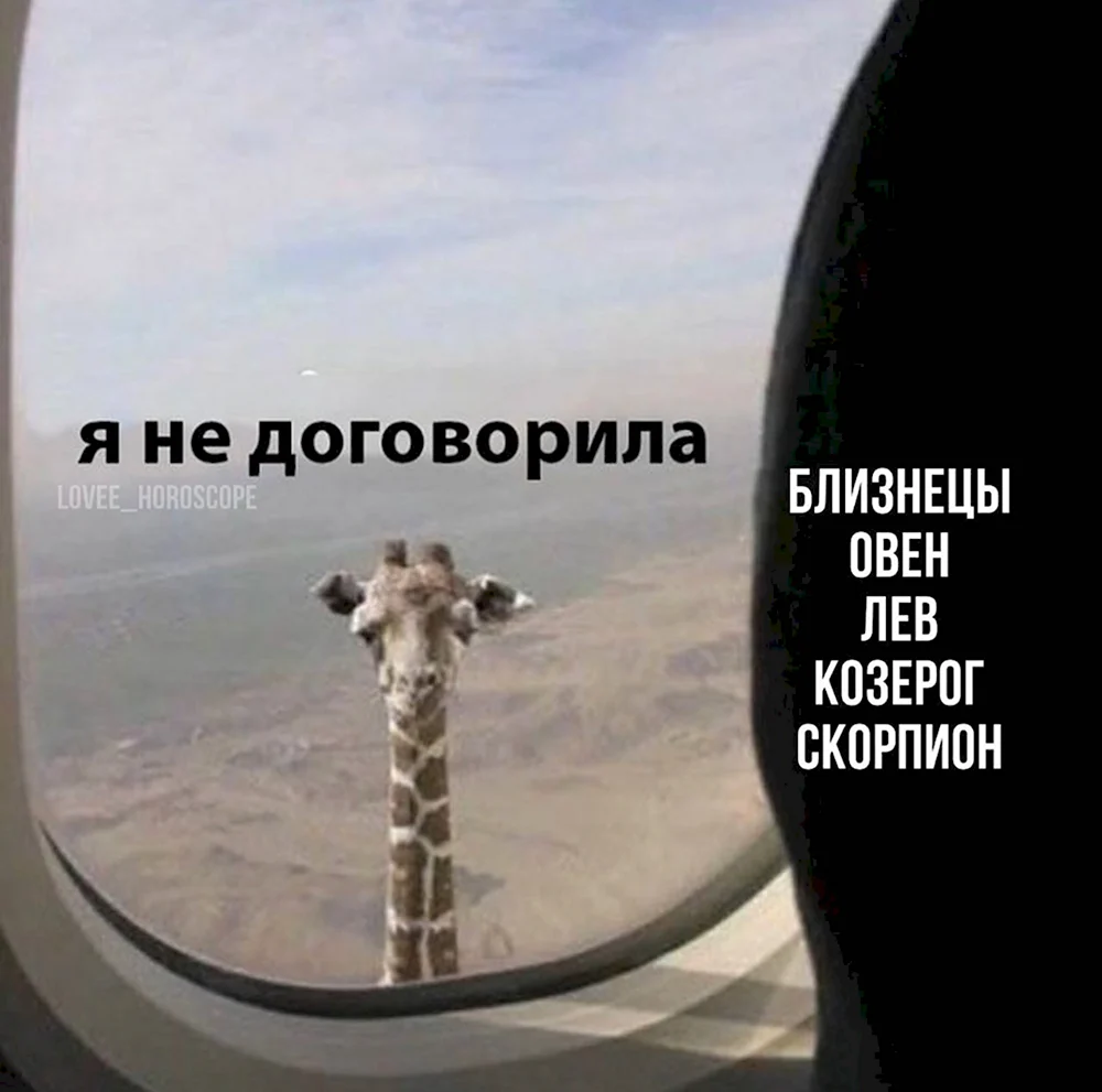 Я не договорила