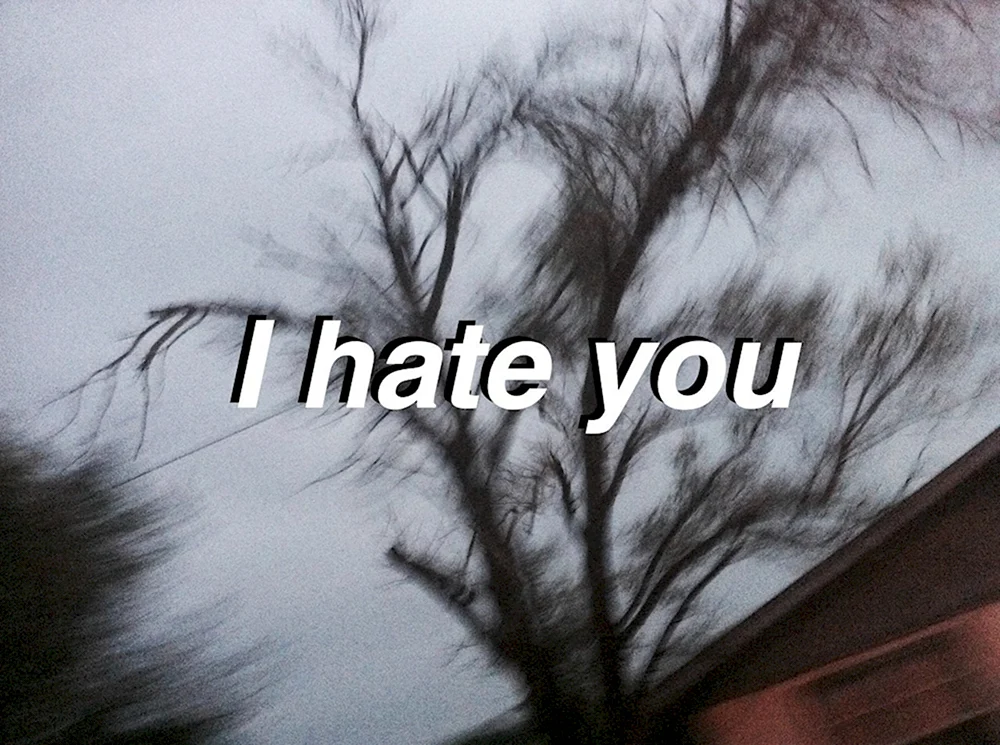 Я тебя ненавижу