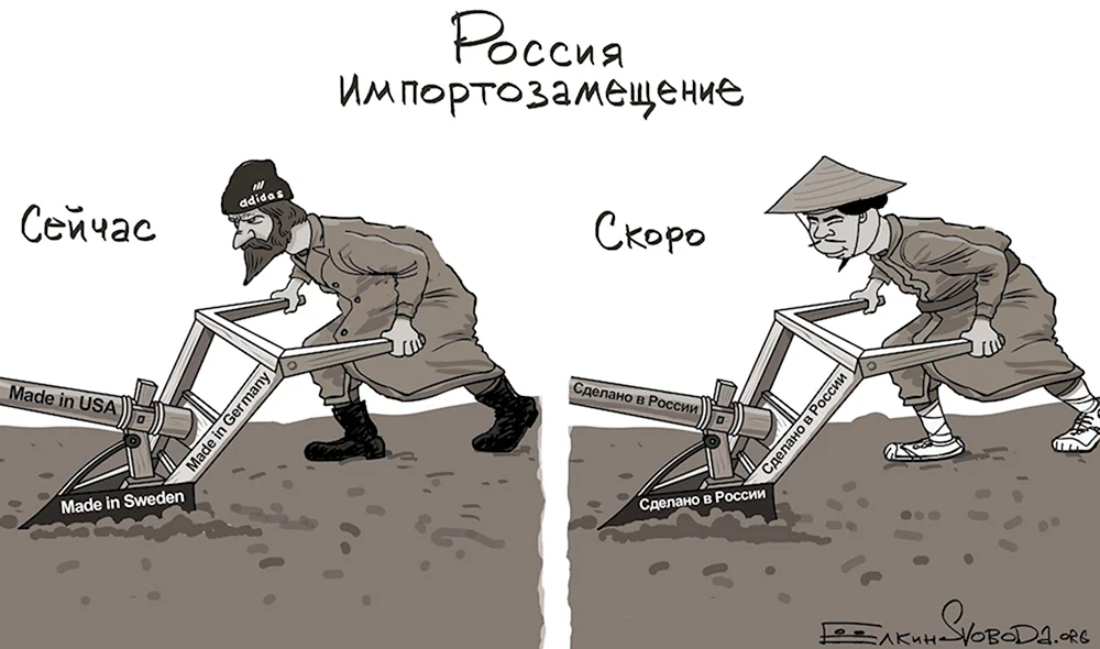 Импортозамещение карикатура