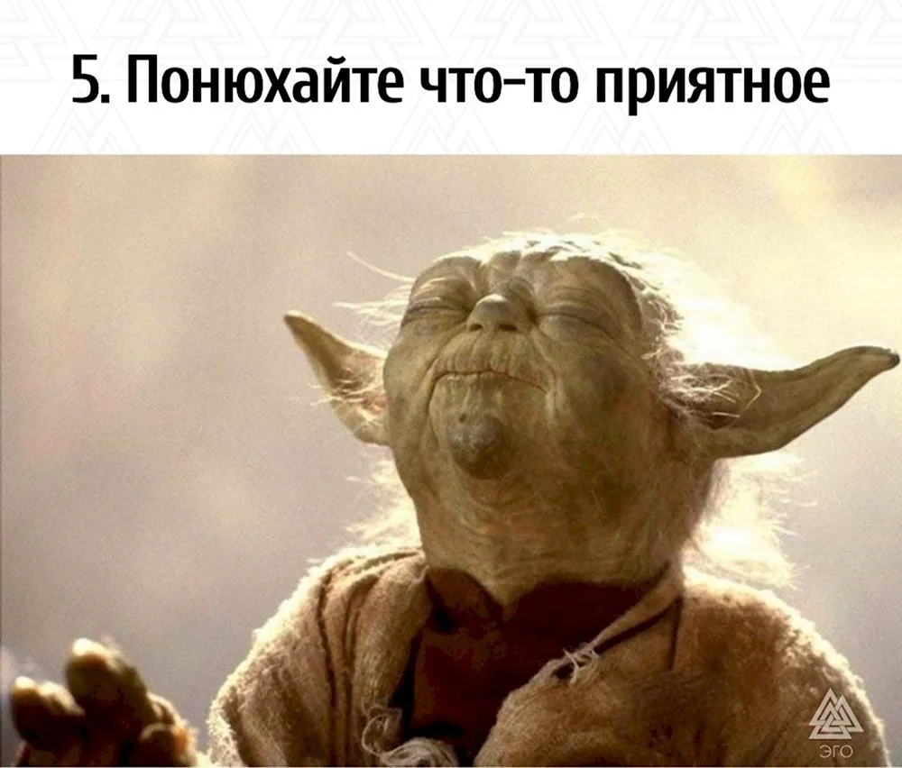 Йода Юный падаван