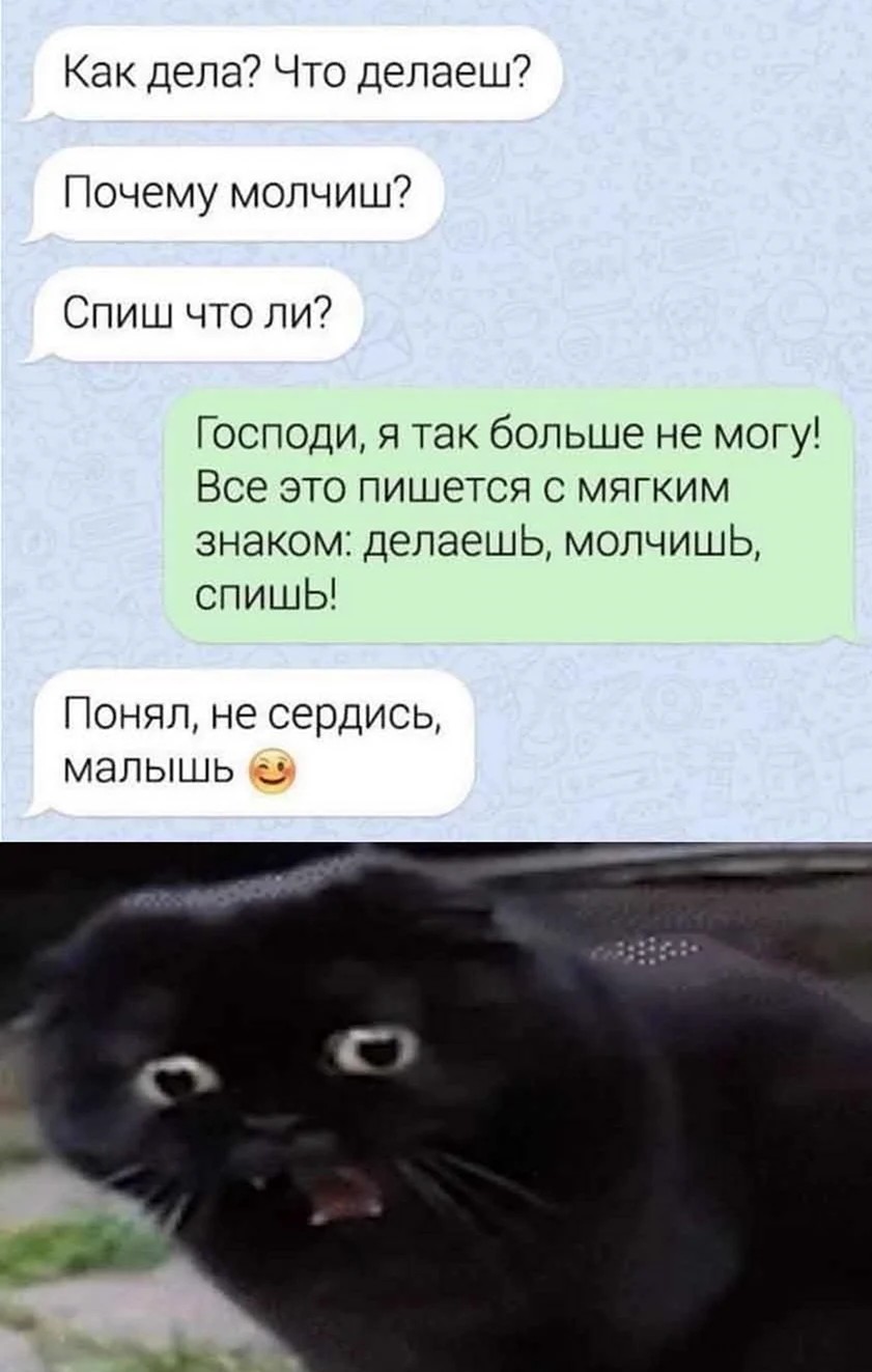 Как дела что делаешь почему молчишь