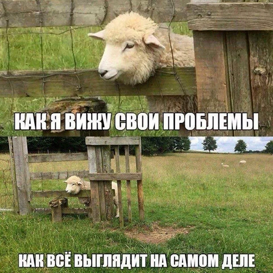 Как я вижу свои проблемы