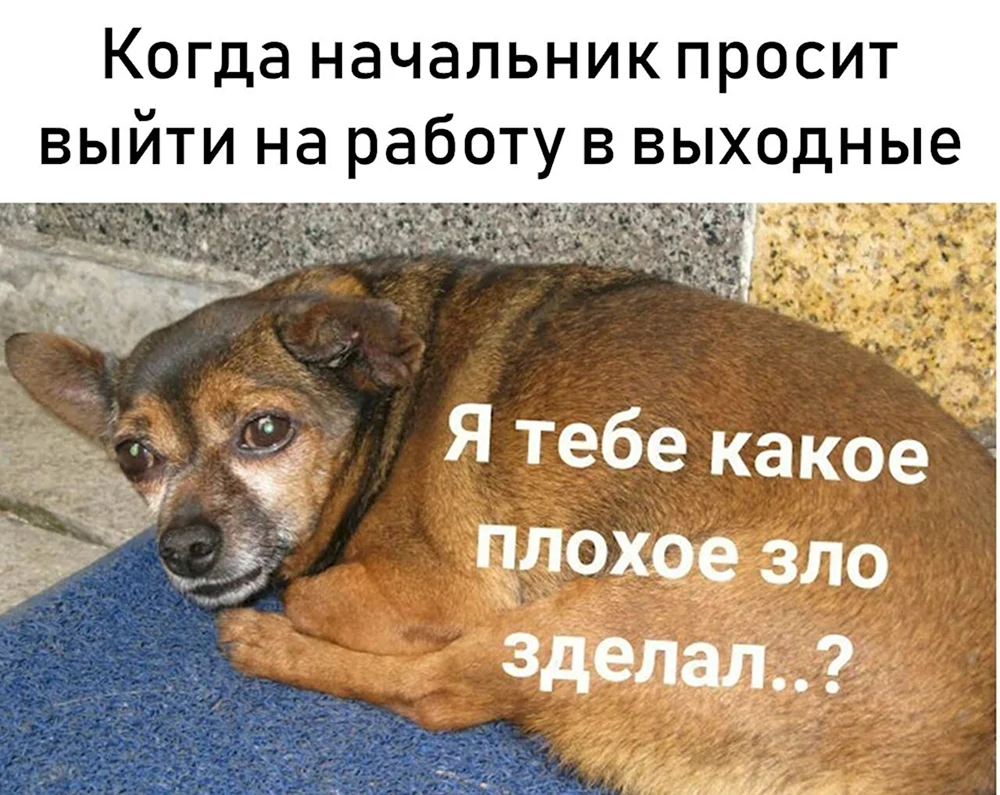 Какое зло я тебе сделал