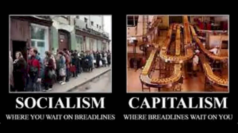 Капитализм и социализм
