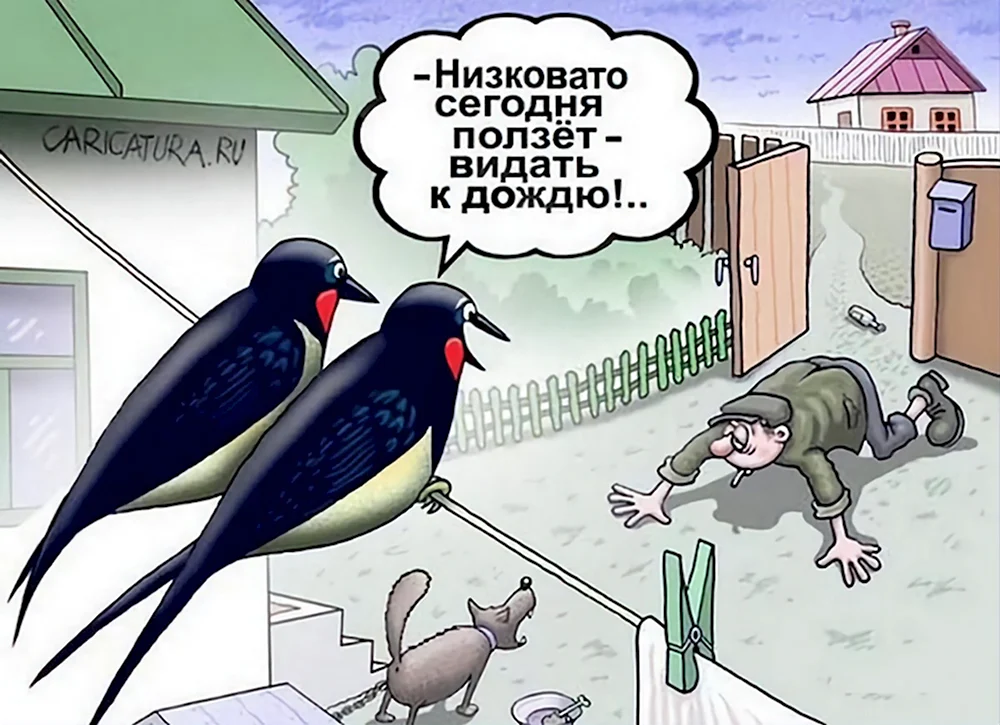 Карикатуры про птиц